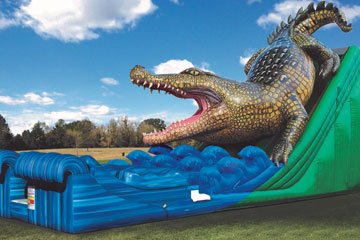 King Croc Wet & Dry Slide