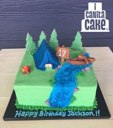 icanita Cake camping 1646540989 Cakes