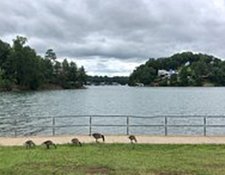 Mary Alice Beach Park