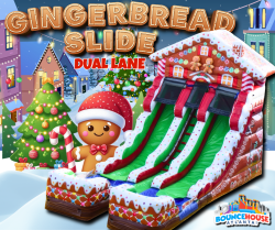 16' Dual Lane Gingerbread Slide