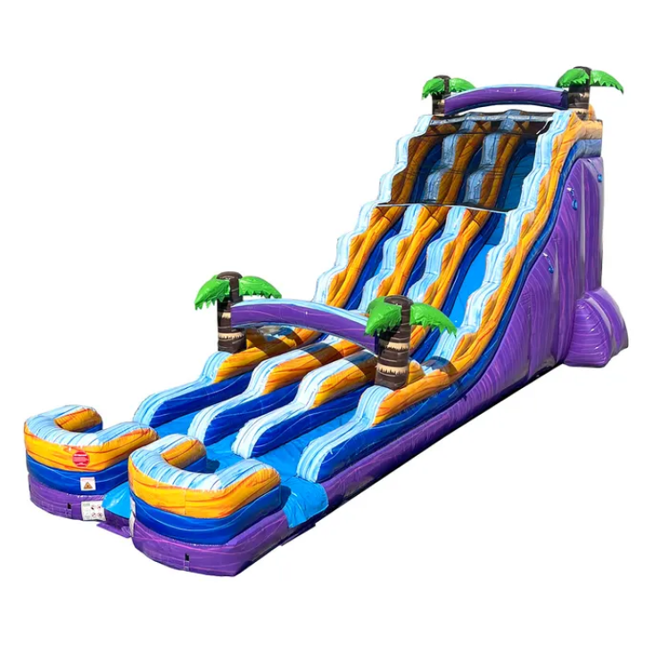 24' Dual Lane Tropical Paradise Water Slide